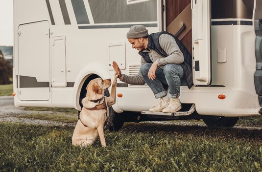 A man at the entrance of a Carado motorhome gives a Labrador a high five at the door