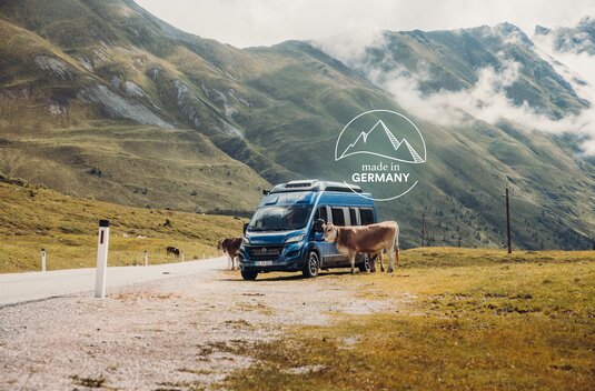 Blue Carado camper van on a mountain pass beside cows, with green Alpine scenery in the background