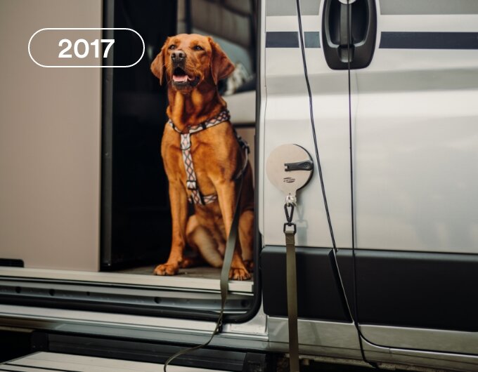Dog sitting in the open sliding door of a Carado motorhome