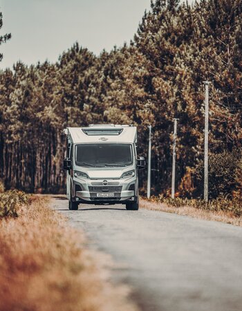 Carado motorhome head-on on a narrow road between pine forest and power lines