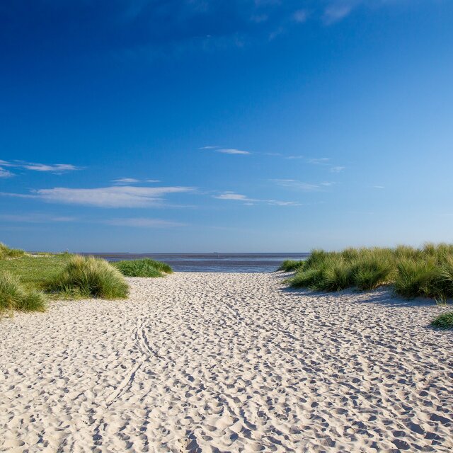A sandy path through the dunes leads to the beach, with the sea beneath a blue sky