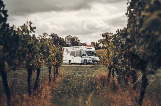 Carado motorhome among vineyards on a dirt track, front and side view under a cloudy sky