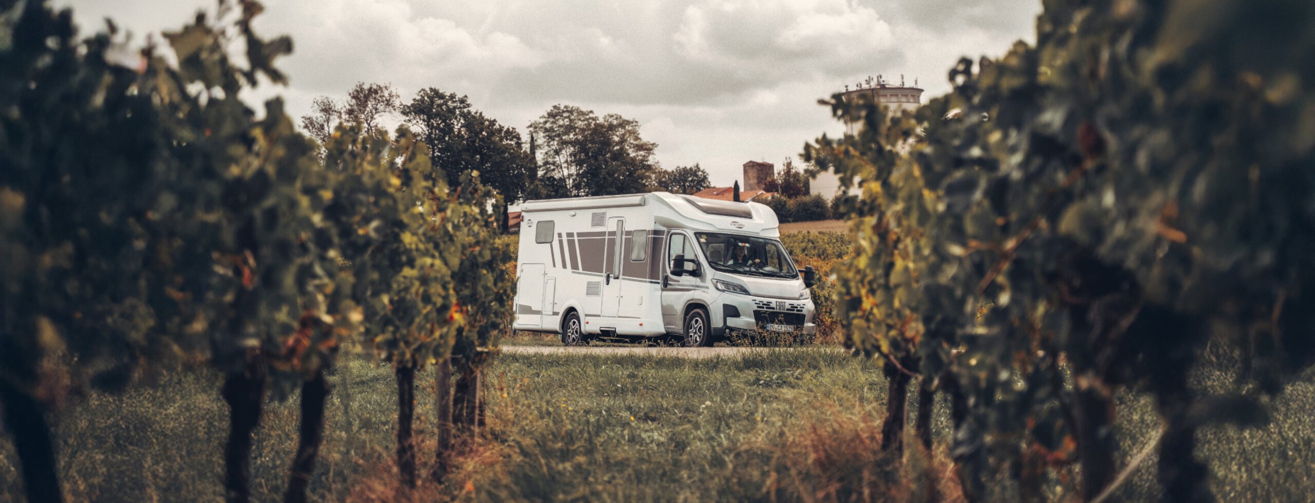 Carado motorhome among the vines on a country lane, front and side view