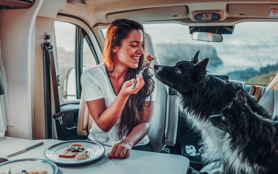 A woman sits at the table in a Carado motorhome, offering two dogs a forkful of food.