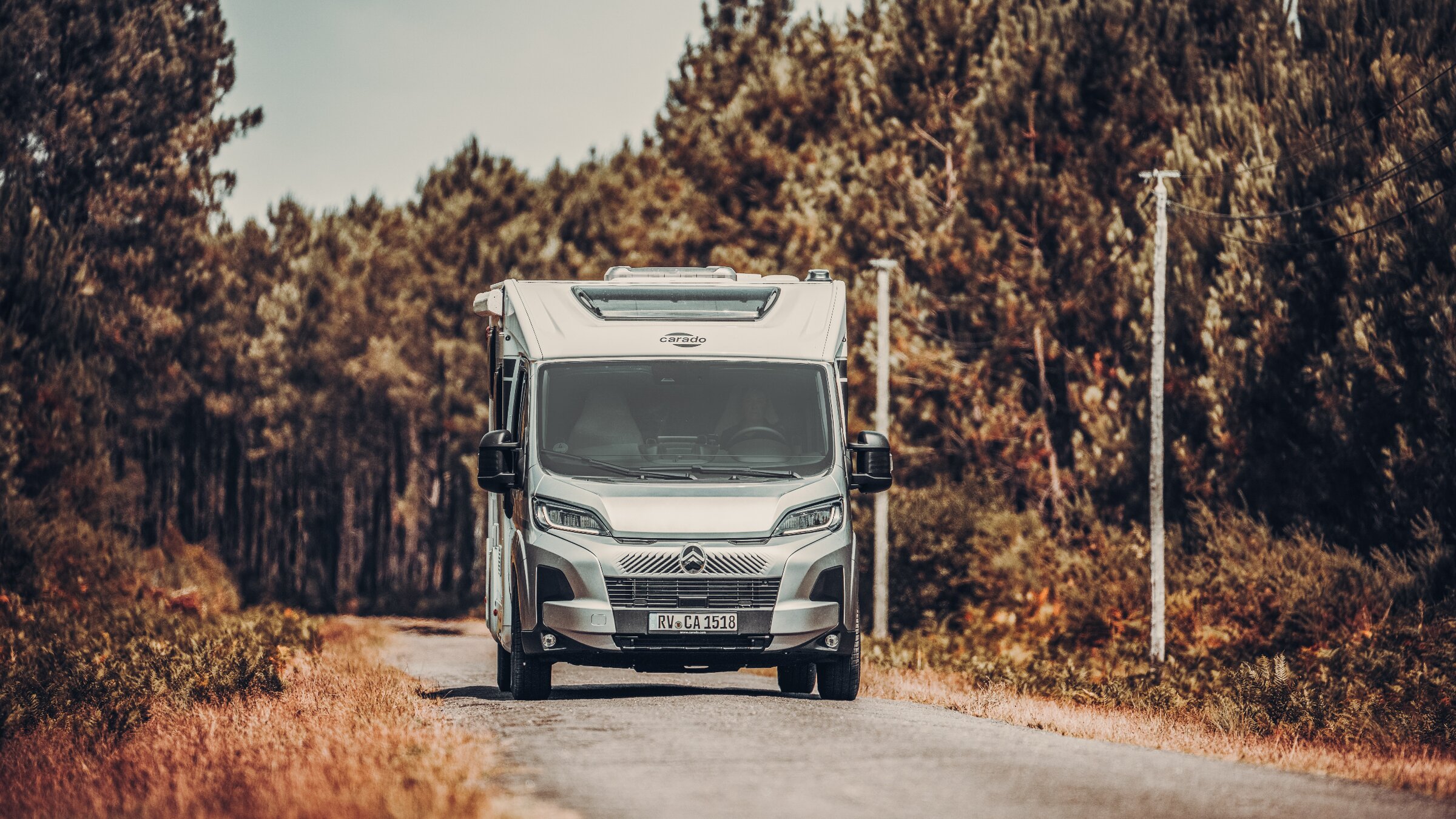 Carado motorhome, front view on a narrow road between pine trees