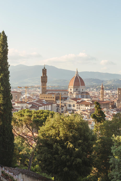 Panoramablick beim Camping auf Florenz mit der Kathedrale Santa Maria del Fiore, dem Palazzo Vecchio und grünen Pinien im Vordergrund.