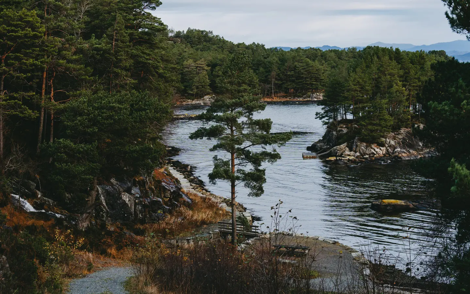 View of a beautiful lake, the lake is surrounded by forest