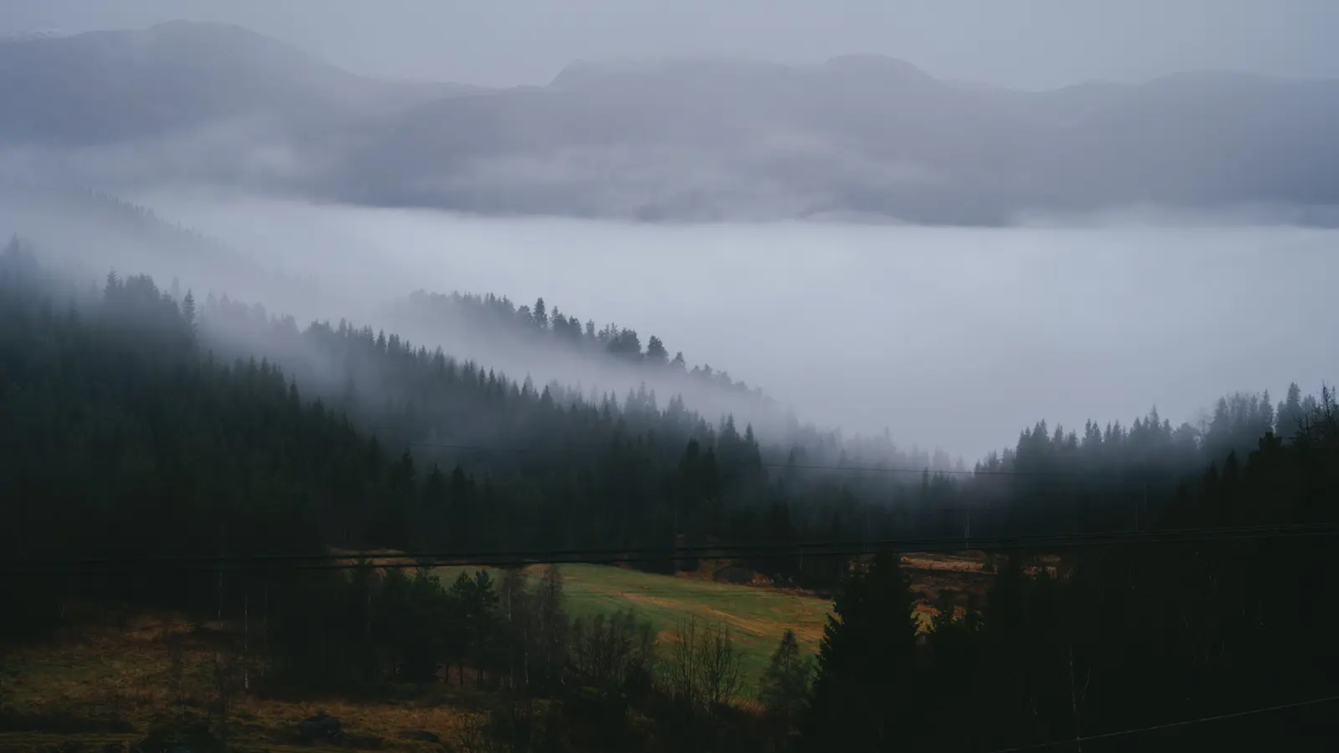 Misty, forested landscape, mountains in the background