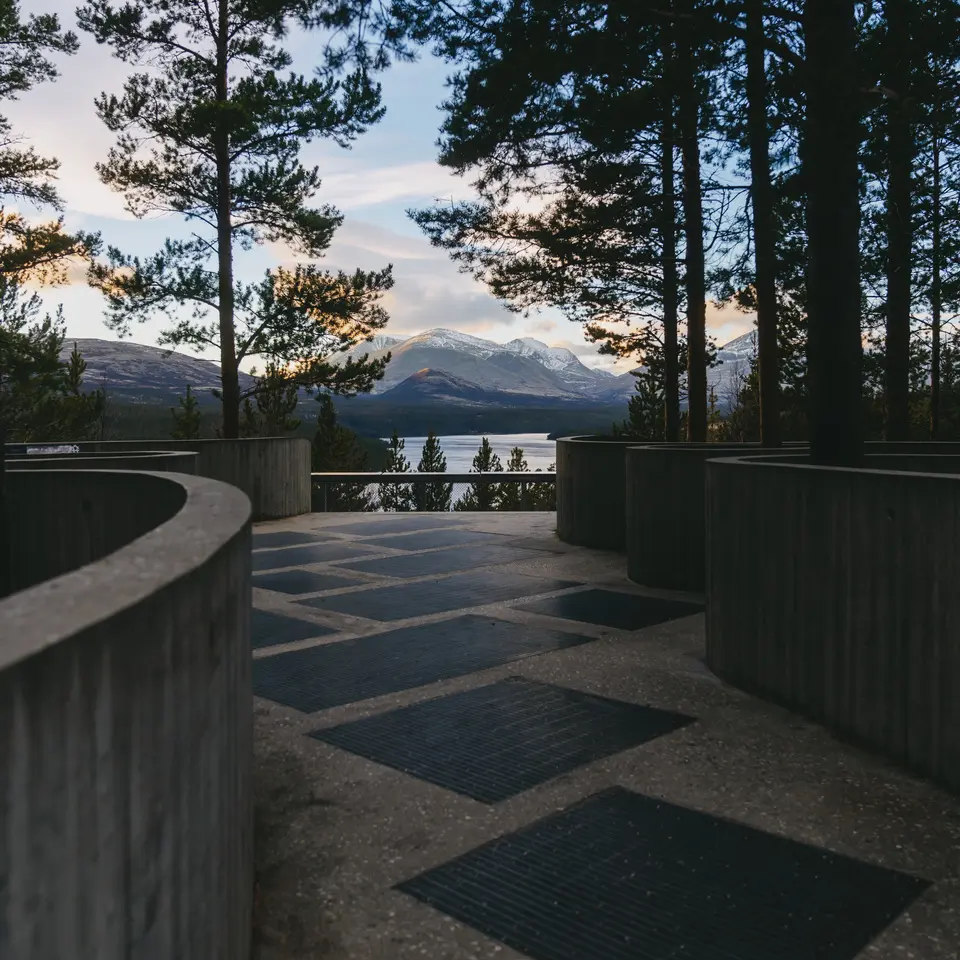 Footpath surrounded by trees, mountains in the background