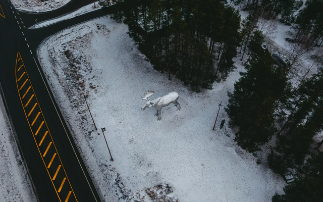 Aerial view from the top right of a large moose statue