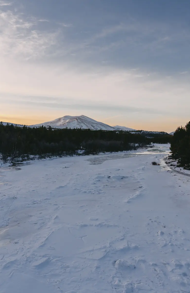 Snowy road, trees on the left and right, a large mountain in the background