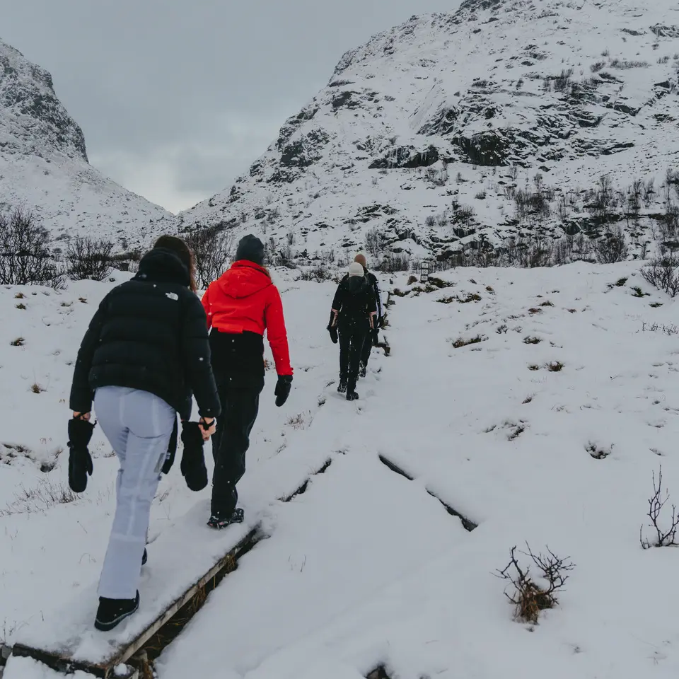 4 people hiking in a snowy landscape