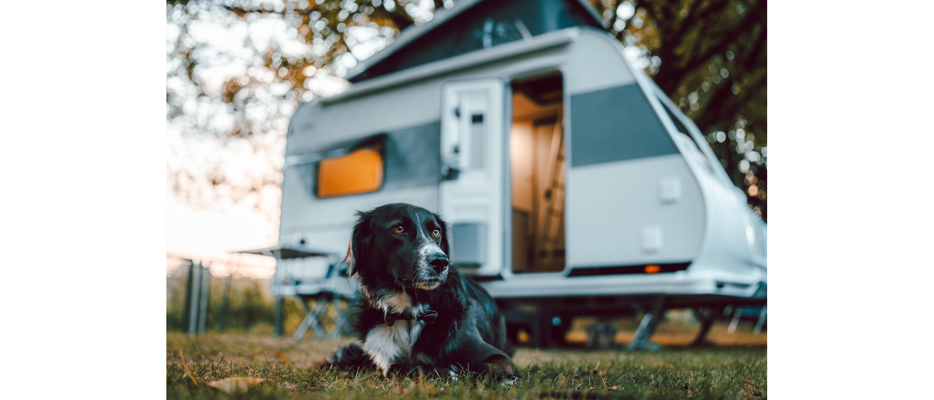 Das Bild zeigt einen Hund vor einem LMC Wohnwagen Style 400 f.